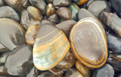 Rocks Around: เกาะหลีเป๊ะ Rocks Around: เกาะหลีเป๊ะ