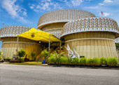 Paddy Museum พิพิธภัณฑ์ข้าว