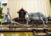 Paddy Museum พิพิธภัณฑ์ข้าว
