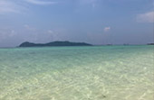 Gorgeous on low at shallow Gorgeous on low at shallow
