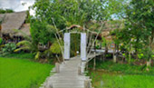 South Pioneer: สำรวจแดนใต้ South Pioneer: สำรวจแดนใต้