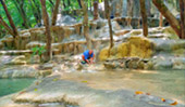 South Pioneer: สำรวจแดนใต้ South Pioneer: สำรวจแดนใต้