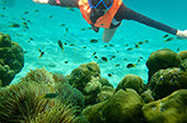 Explorer Truth: เกาะหลีเป๊ะ 3วัน2คืน Explorer Truth: เกาะหลีเป๊ะ 3วัน2คืน