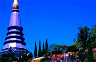 The Top ดอยอินทนนท์ The Top ดอยอินทนนท์