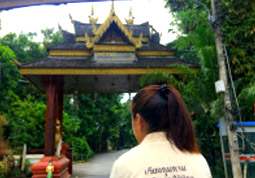 Overnight ดอยอินทนนท์ Overnight ดอยอินทนนท์