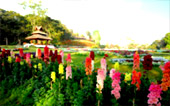 Overnight ดอยอินทนนท์ Overnight ดอยอินทนนท์