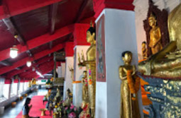 3วัน2คืนนครศรีธรรมราชสุราษฎร์ธานี The Local 3วัน2คืนนครศรีธรรมราชสุราษฎร์ธานี The Local