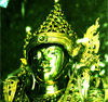 เกาะสองทริปครึ่งวัน เกาะสองทริปครึ่งวัน