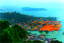 เกาะสองทริปครึ่งวัน เกาะสองทริปครึ่งวัน