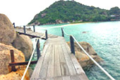 Freedom Sea: ฟรีดอม และ นางยวน