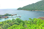 Freedom Sea: ฟรีดอม และ นางยวน