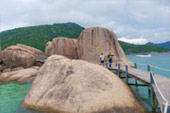 เกาะนางยวน เกาะเต่า 3 วัน 2 คืน เกาะนางยวน เกาะเต่า 3 วัน 2 คืน