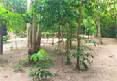In 4 : ทัวร์เกาะห้องเต็มวัน In 4 : ทัวร์เกาะห้องเต็มวัน