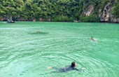 In 4 : ทัวร์เกาะห้องเต็มวัน In 4 : ทัวร์เกาะห้องเต็มวัน