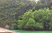 In 4 : ทัวร์เกาะห้องเต็มวัน In 4 : ทัวร์เกาะห้องเต็มวัน