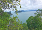 In 4 : ทัวร์เกาะห้องเต็มวัน In 4 : ทัวร์เกาะห้องเต็มวัน