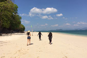 เกาะกำญี่ปุ่นค้างคาวเกาะพยามบลูสกาย