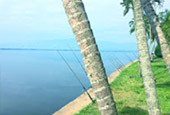 Mountains, Lake, Arts Mountains, Lake, Arts