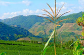 Mountains, Lake, Arts Mountains, Lake, Arts