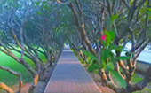 Hard Tango.: น่าน หลวงพระบาง วังเวียง Hard Tango.: น่าน หลวงพระบาง วังเวียง