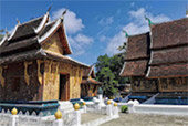 Week for Life ......ควบคุมชีพจร 7วัน6คืน Week for Life ......ควบคุมชีพจร 7วัน6คืน
