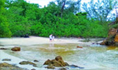 Peace Relax : เกาะพยาม Peace Relax : เกาะพยาม
