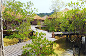 Peace Relax : เกาะพยาม Peace Relax : เกาะพยาม