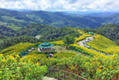 1600 Height, Flower Hill 1600 Height, Flower Hill