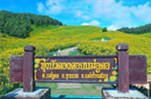 1600 Height, Flower Hill 1600 Height, Flower Hill