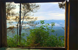 1600 Height, Flower Hill 1600 Height, Flower Hill
