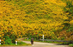 1600 Height, Flower Hill 1600 Height, Flower Hill