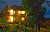 1600 Height, Flower Hill 1600 Height, Flower Hill