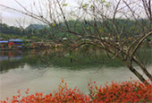 บ้านรักไทย: Fog Village บ้านรักไทย: Fog Village
