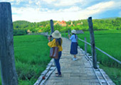 บ้านรักไทย: Fog Village บ้านรักไทย: Fog Village