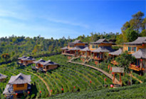 บ้านรักไทย: Fog Village บ้านรักไทย: Fog Village