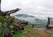 บ้านรักไทย: Fog Village บ้านรักไทย: Fog Village