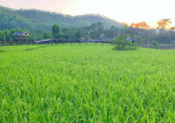บ้านรักไทย: Fog Village บ้านรักไทย: Fog Village