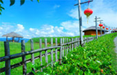 Fresh Trace: เมืองปาย Fresh Trace: เมืองปาย