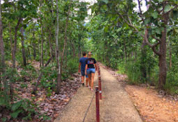 Fresh Trace: เมืองปาย Fresh Trace: เมืองปาย