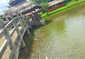 Fresh Trace: เมืองปาย Fresh Trace: เมืองปาย