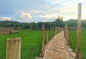 Fresh Trace: เมืองปาย Fresh Trace: เมืองปาย