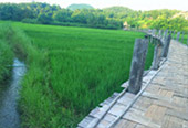 Fresh Trace: เมืองปาย Fresh Trace: เมืองปาย