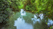 Fresh Trace: เมืองปาย Fresh Trace: เมืองปาย