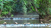 Fresh Trace: เมืองปาย Fresh Trace: เมืองปาย