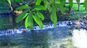 Fresh Trace: เมืองปาย Fresh Trace: เมืองปาย