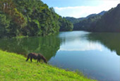 Fresh Trace: เมืองปาย Fresh Trace: เมืองปาย