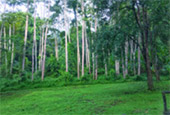 Fresh Trace: เมืองปาย Fresh Trace: เมืองปาย