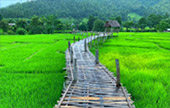 Longing for.. : แม่ฮ่องสอน Longing for.. : แม่ฮ่องสอน
