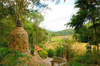 Nature ปาย + แม่ฮ่องสอน Nature ปาย + แม่ฮ่องสอน