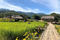 Nature ปาย + แม่ฮ่องสอน Nature ปาย + แม่ฮ่องสอน